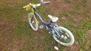 10513362_10204412105167781_56599490679495948_n