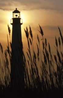 f25a60f0c39d8a941ce855e97ec6adf9