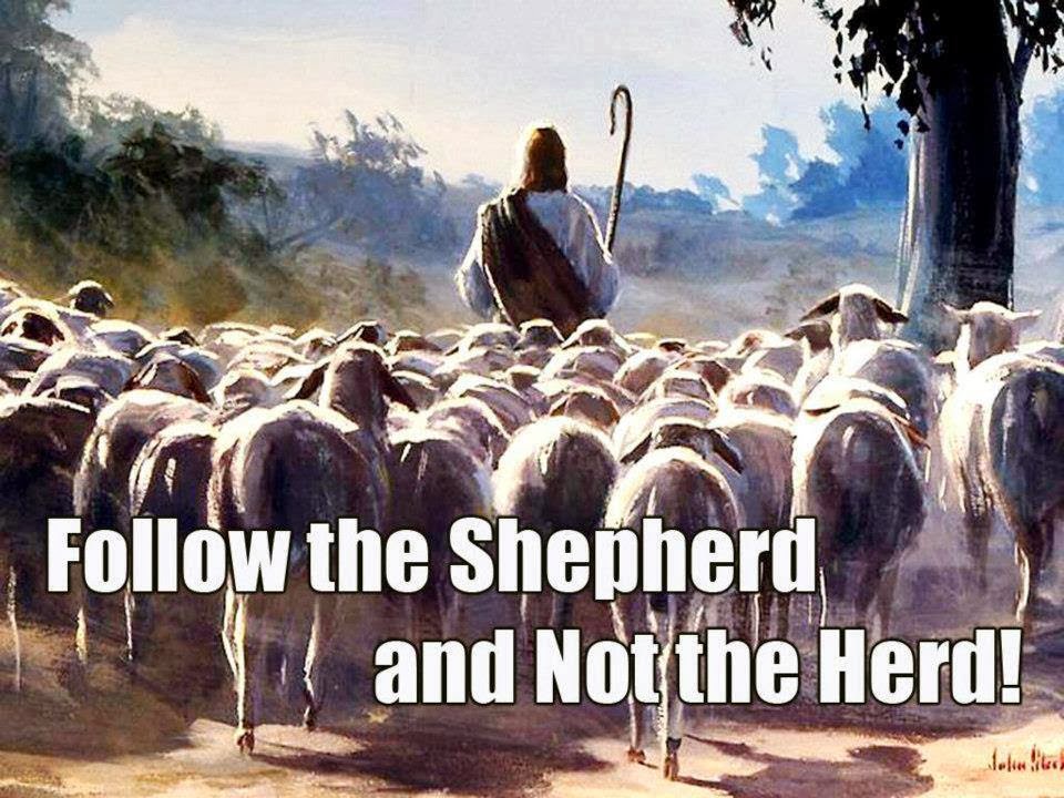 RETURNING TO THE RIGHT SHEPHERD | pastorrudytlc